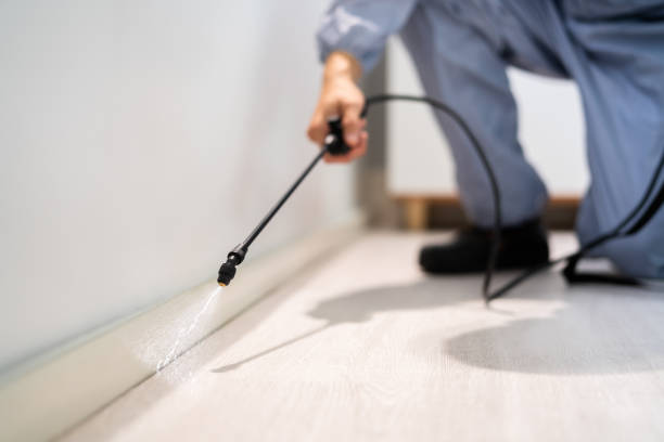 Licensed Pest Control service in Chesterfield, IN - Show Me Pest Control