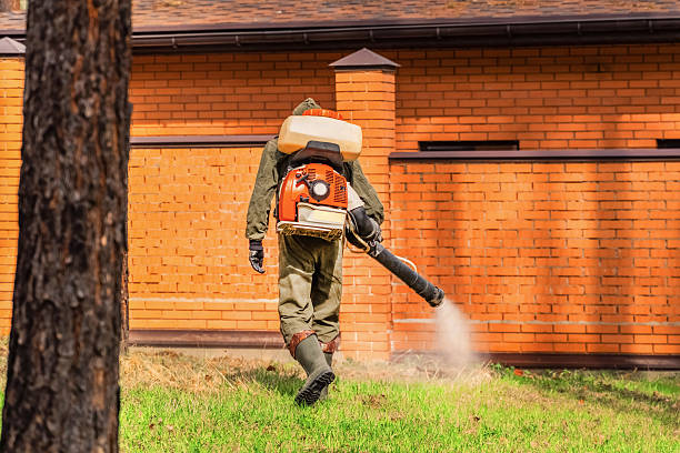 Bed Bug Clearance Verification and Documentation in Chesterfield